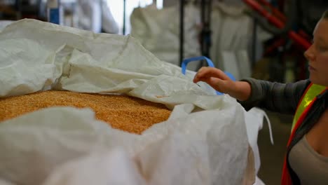 Woman-examining-grains-in-factory-4k