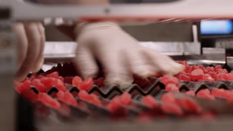 gummy vitamin supplements spread out on chutes by hand - nutraceutical industry
