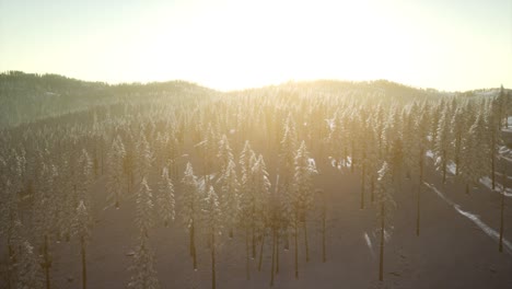 winter landscape glowing by sunlight in the morning