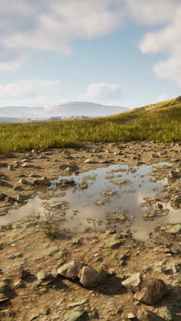 un charco en un campo de hierba con montañas en el fondo