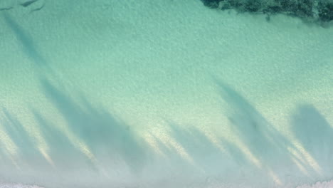 top down aerial view of tropical shoreline out to sea