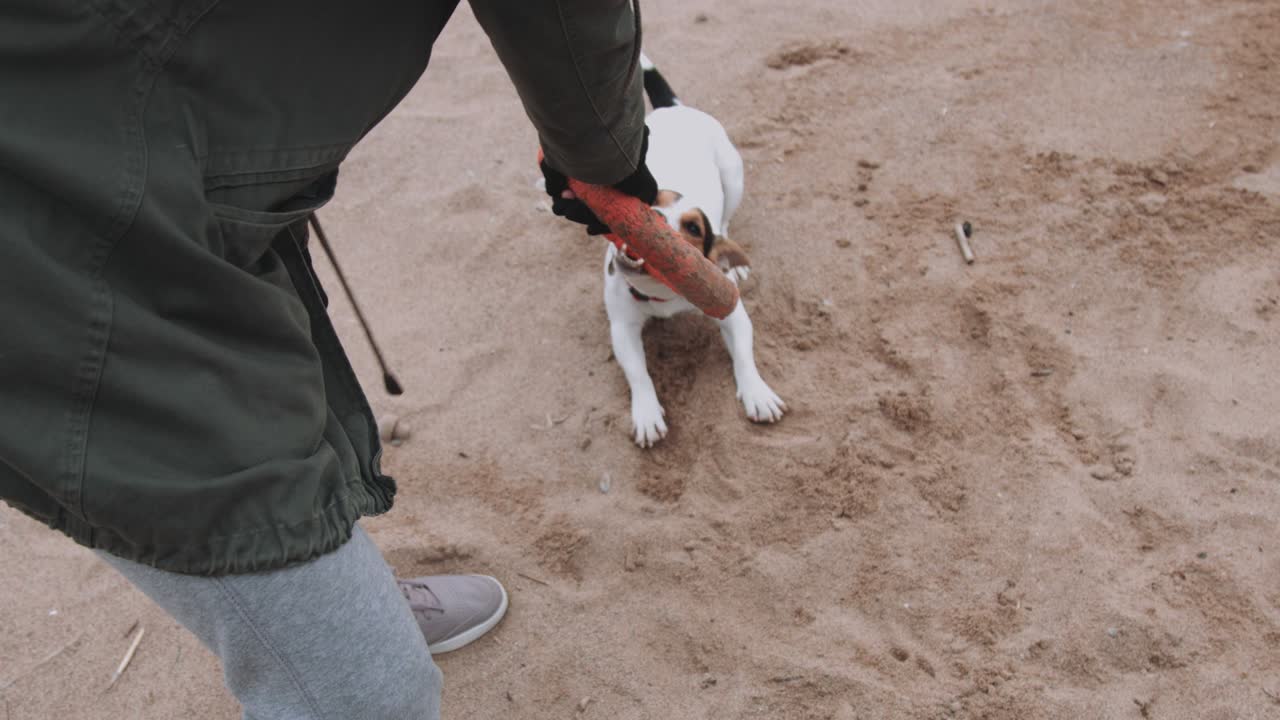 mujer jugando con el perro en la orilla del mar