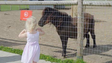 family fun, mother and daughter visit miniature horse enclosure