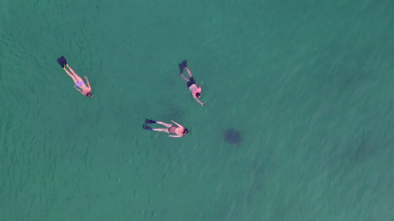 широкий снимок трех человек, занимающихся снорклингом в индийском океане у берегов мадагаскара