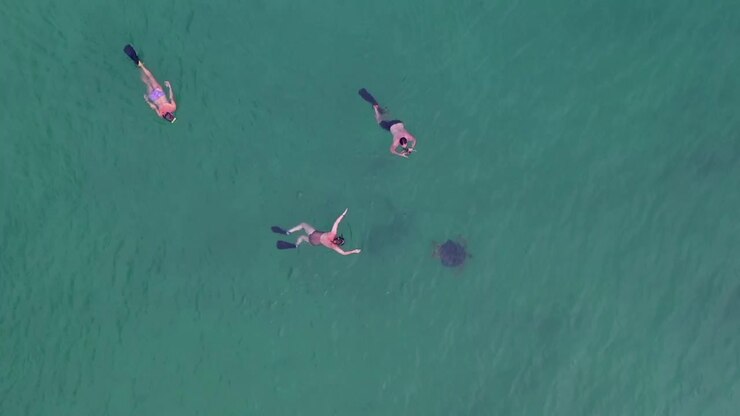wide shot of 3 people snorkeling with in the Indian Ocean off Madagascar