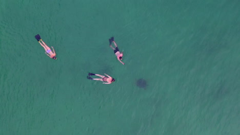 plano general de 3 personas buceando en el océano índico frente a madagascar