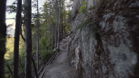 movimiento rápido a través de un sendero con rocas y árboles a los lados