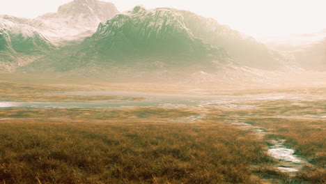 grassy field with mountains in background