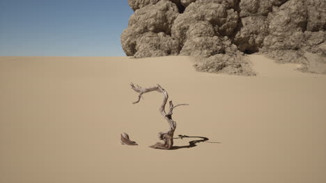 a lone dead tree stands in the desert sand with a rock cliff in the background