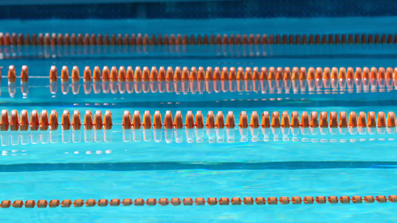 경쟁 수영장 4k의 레인