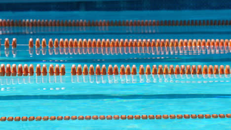 lanes of a competition swimming pool 4k