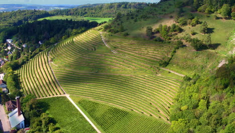 Cloud-shadow-passes-over-terraced-hillside-of-vineyard-in-rural-countryside