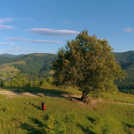 woman with musical instrument outdoors. musician on a green hill near the big tree on mountains background. performer in mountainous place in summer. aerial view