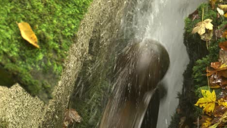 closeup of watermill wheel spinning and splashing water, mossy surroundings