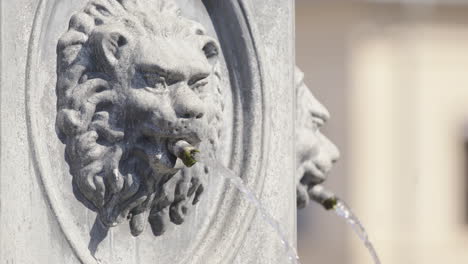 one of the water spout lions on youngstorget square fountain, oslo