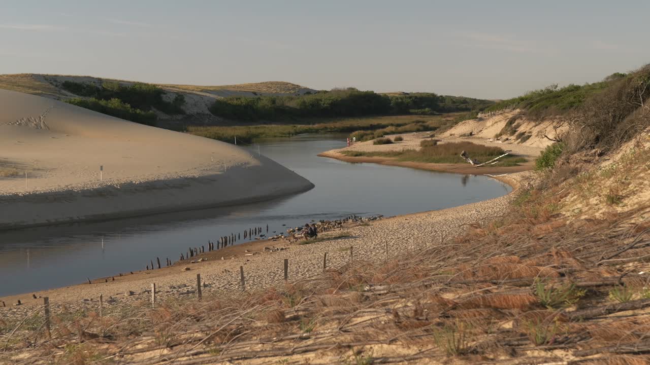 The coastal river of Courant d'Huchet winding across dunes close to its mouth in Moliets, a southwestern coastal city of Landes region.