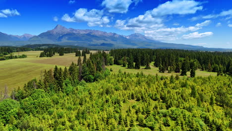 flight over the pine-tree wood growing in the valley. amazing tatra mountains at backdrop. blue sky with clouds at backdrop. slovakia.