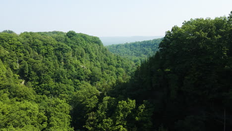 Aerial-dolly-fly-through-dense-forest-hillsides-in-Ontario-Canada