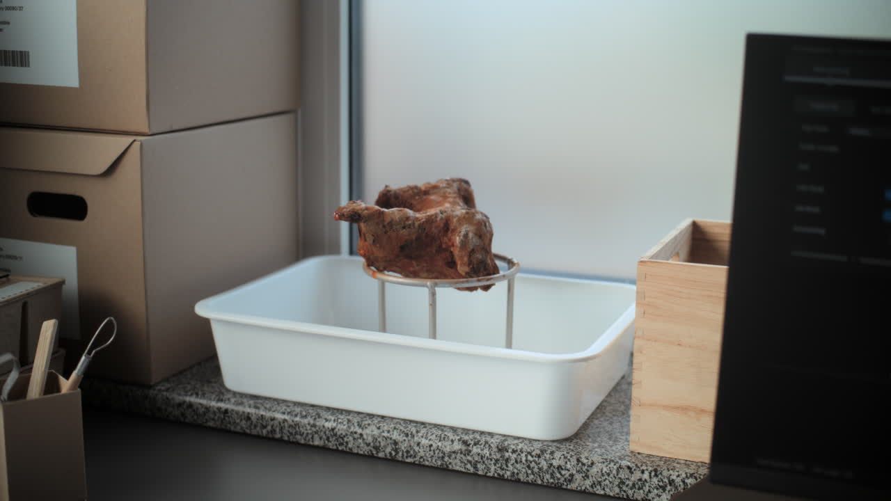 muestras animales conservadas en un entorno de laboratorio