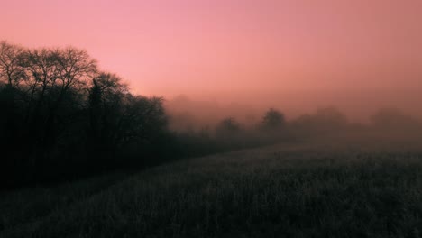 aerial view of misty landscape at sunrise, soft pink hues, peaceful fog, calm morning