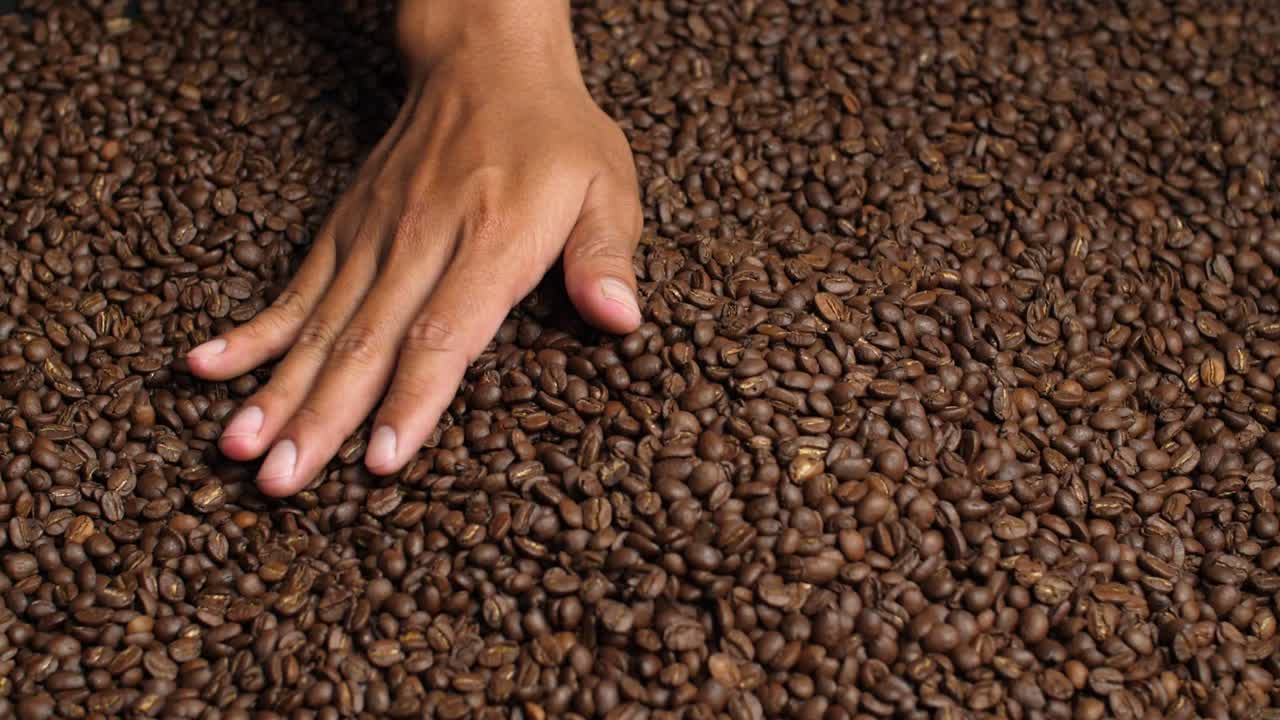Hand Touching Coffee Beans, Slow Motion