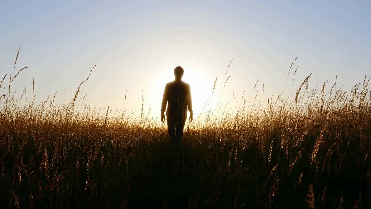 Solitaria silhouette umana si erge in alta erba selvatica in un prato aperto, retroilluminata da un sole basso e luminoso con un alone brillante, calda luce dorata, leggera foschia, cielo sereno e un'atmosfera tranquilla e riflessiva.