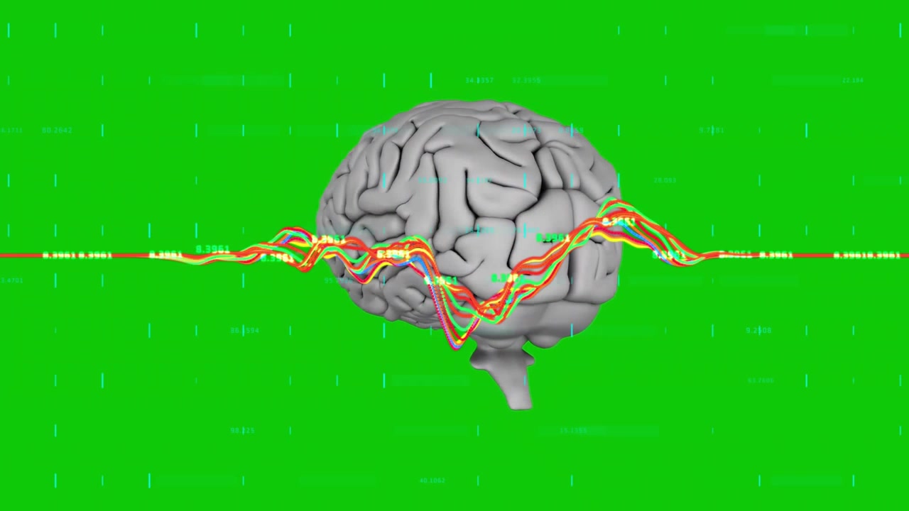 3D Human Brain Model with Animated Data Graphs on Green Screen