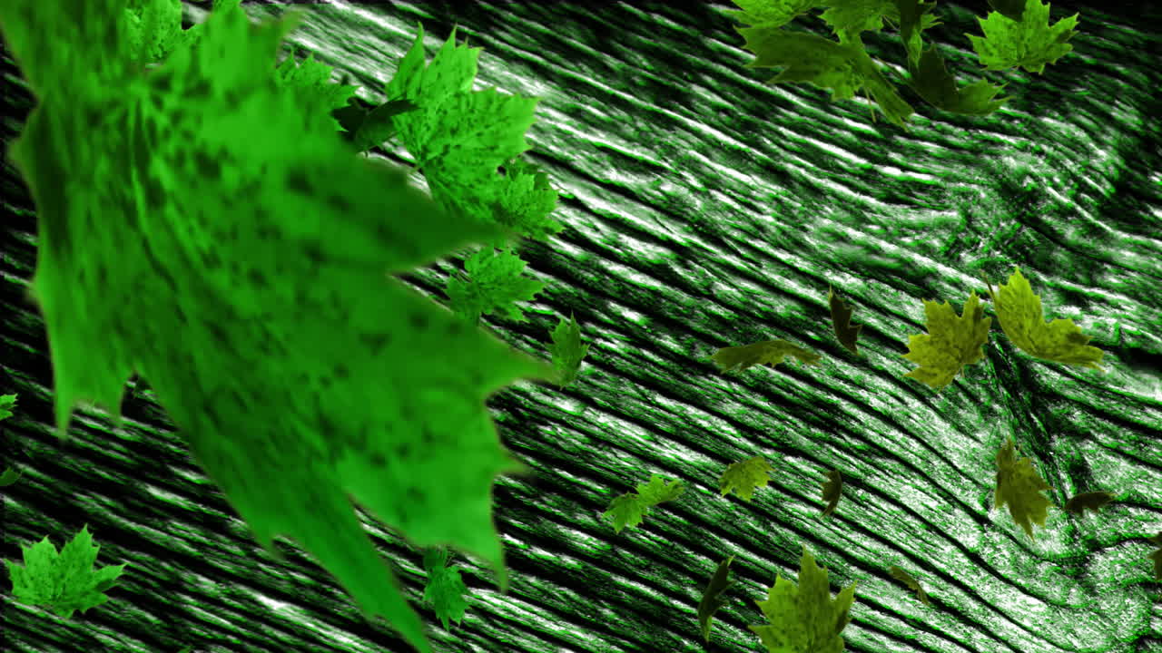 검은색 배경에서 녹색 텍스처와 복사 공간을 이동하고 변경하는 애니메이션