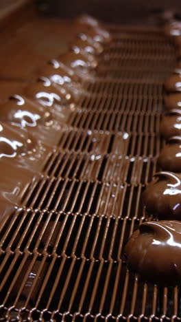 marshmallows move from chocolate coating under the air flow. conveyor grid moving slowly full of sweet candies. close up. blurred background. vertical video