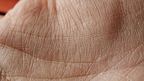 close-up view of palm lines