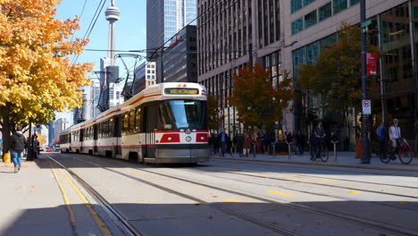 streetcars on tracks in toronto with cn tower in autumn