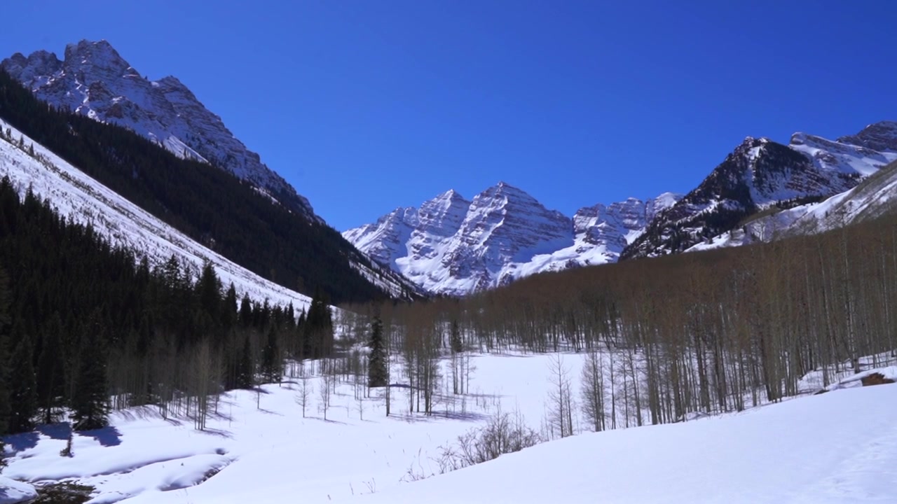 Kirkas talvipanoraama Maroon Bells Pyramid Peak 14ers -vuorista, jotka kohoavat lumipeitteisen laakson ja paljaiden haapojen yläpuolelle, vangiten raikkaan vuoristoauringonpaisteisen aamun sinisen taivaan Aspenissa, Coloradon Kalliovuorilla.