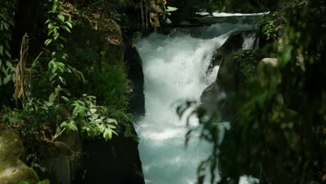 water cascades through lush plants and trees in the jungle of barranca del cupatitzio