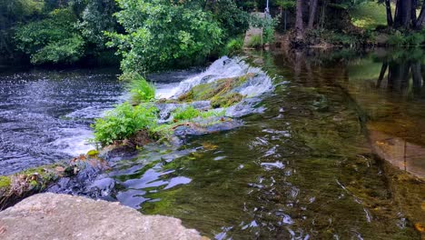 peaceful static shot of clear water rapids in forest galicia spain