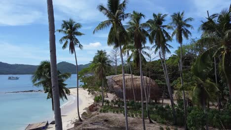 Drone-footage-dolly-backward-through-palm-tree-trucks,-revealing-thatched-roof-buildings,-curved-beach,-distant-shoreline,-and-a-boat-in-the-bay