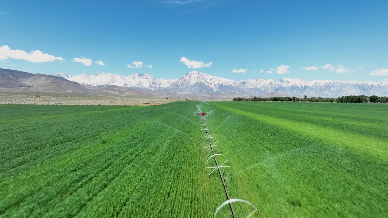 sistema de riego de línea de rueda aguas alfalfa cerca de obispo, california