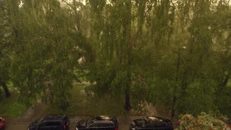 pov shot over the window of rainfall from the ground tilting upwards, dynamic