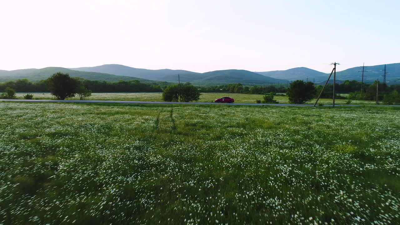 coche rojo en una carretera a través de un campo de flores