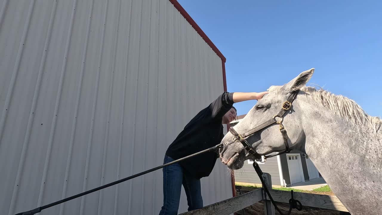 A woman brushes a white horse outdoors. Shot in slow motion