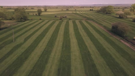 Campos-Después-De-La-Cosecha-Campo-De-Heno-Después-De-La-Cosecha