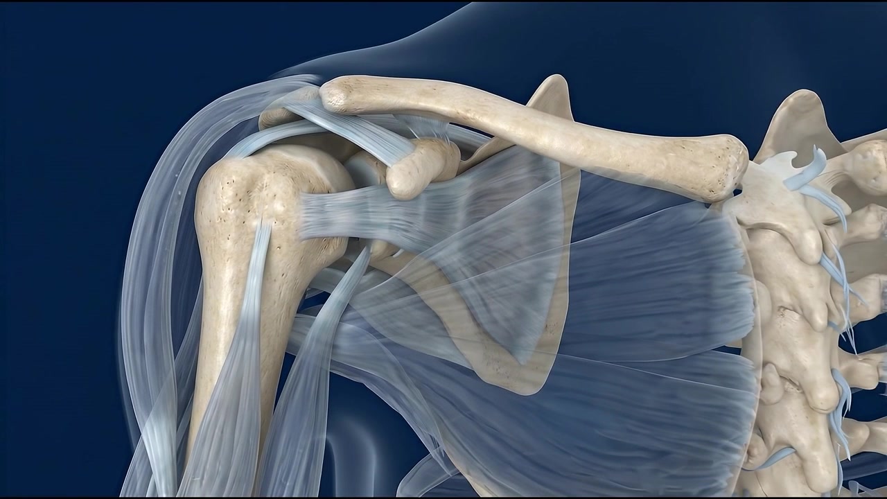 Struttura anatomica del sistema nervoso che evidenzia la malattia