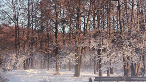 Winter-park-with-park-benches