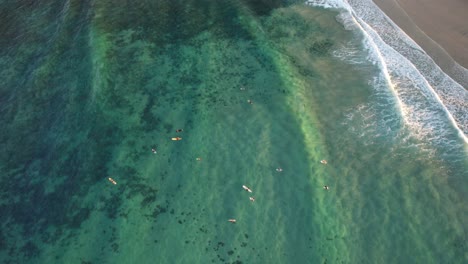 surfers on their boards in clear turquoise water near the shore of byron bay in new south wales, australia. aerial shot