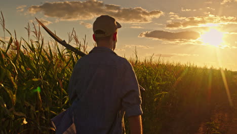 farmer walking through cornfield at sunset