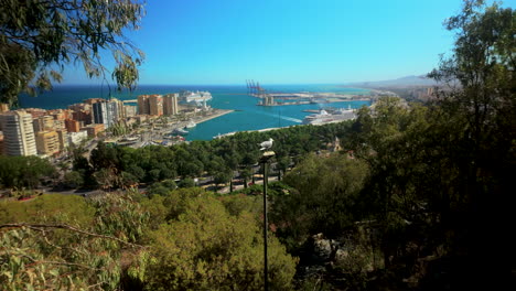 scenic view of málaga’s coastline and port from gibralfaro, surrounded by lush greenery and framed by trees under a bright blue sky, offering a tranquil atmosphere