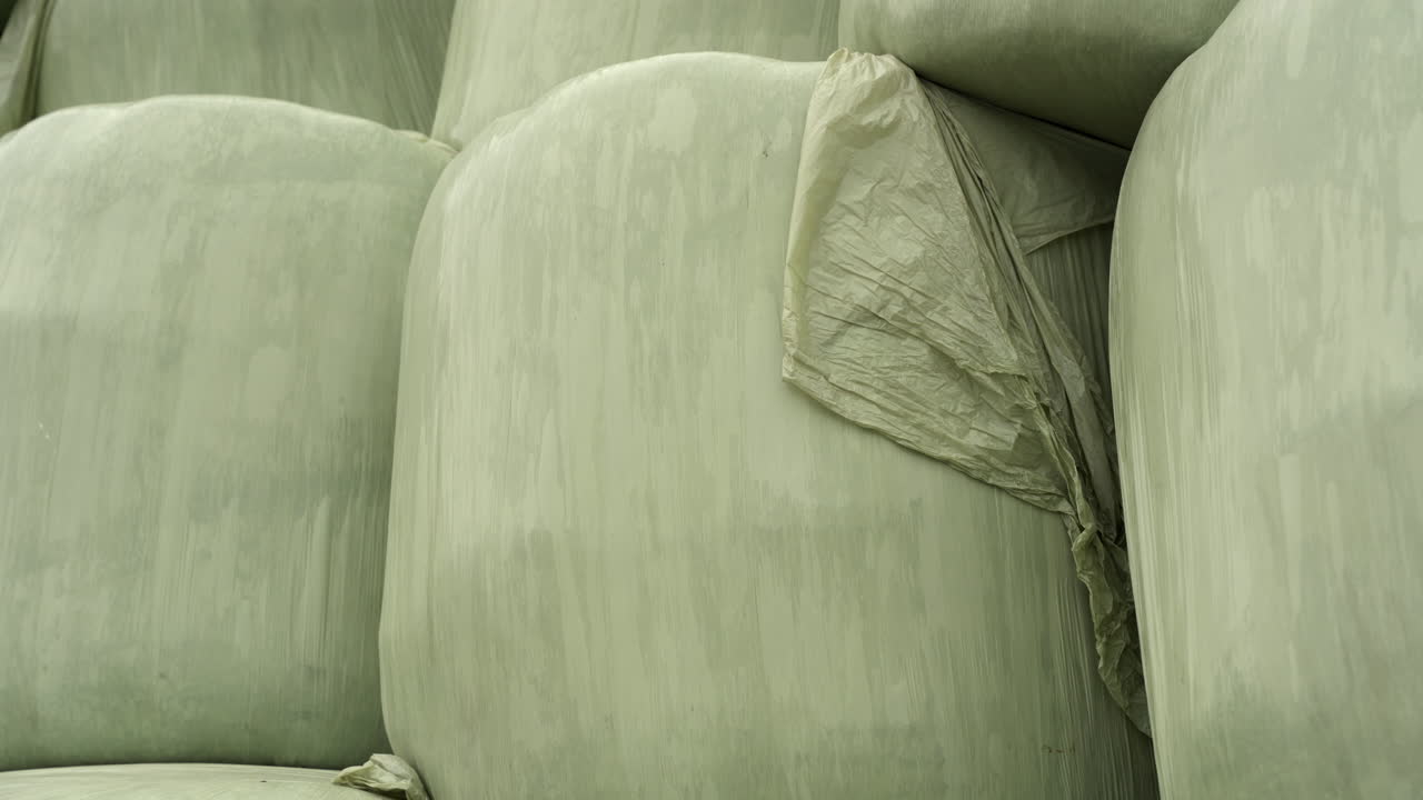 녹색 플라스틱으로 싸인 건초 공의 극단적인 클로즈업