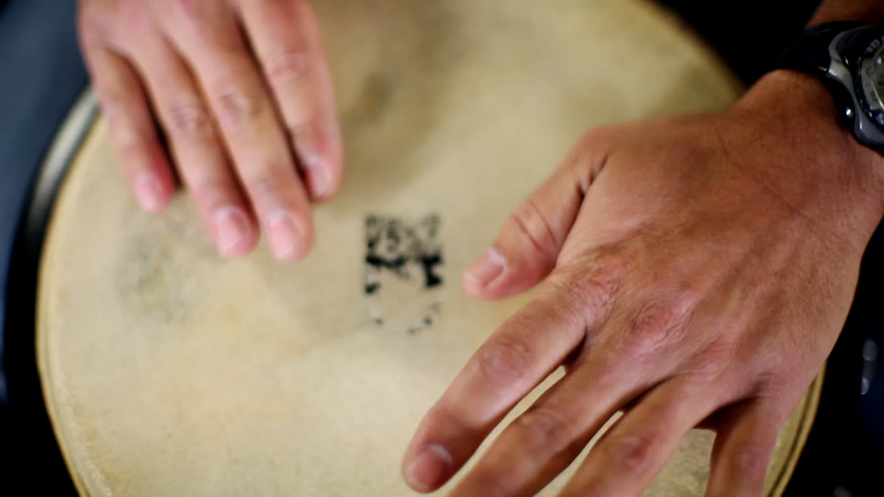 circuito del congo 29