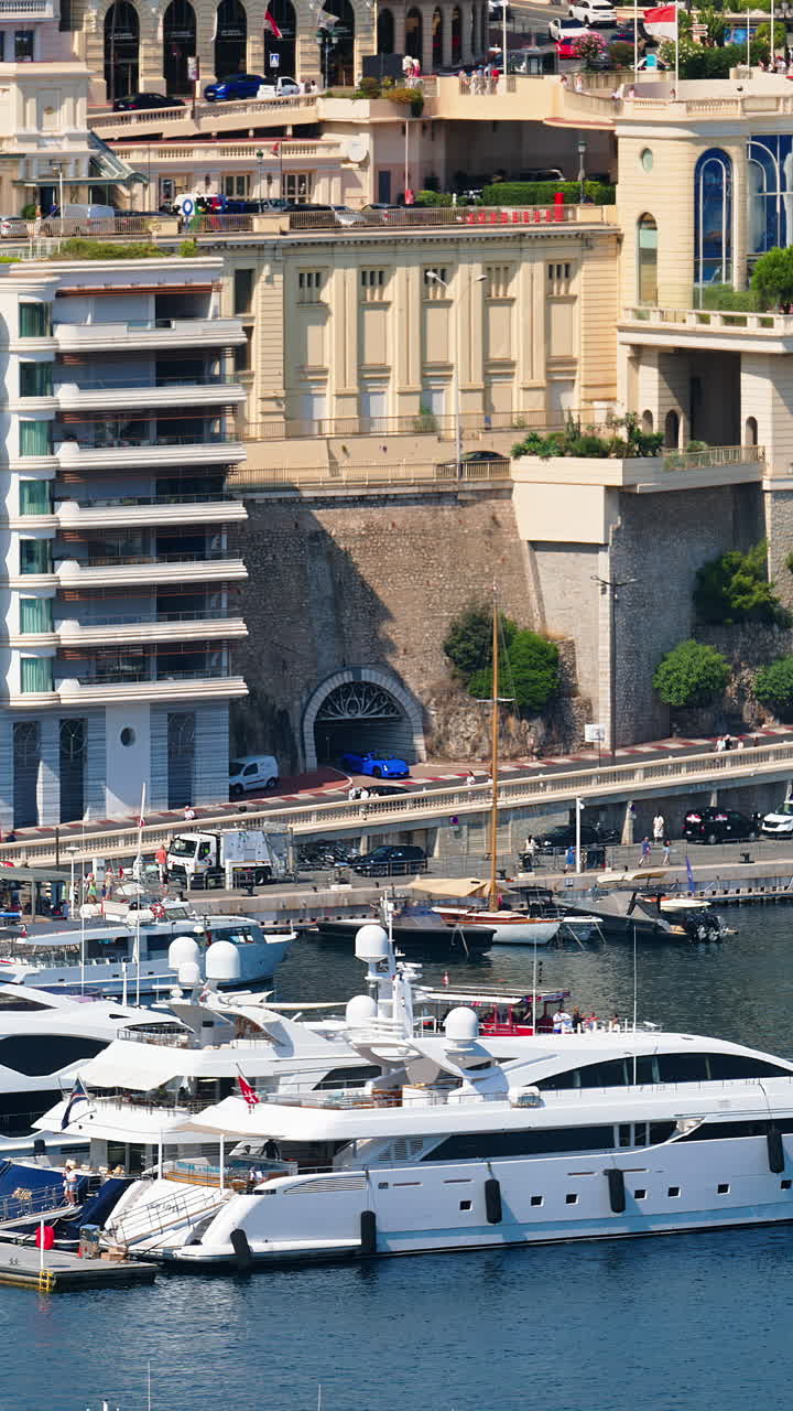 View of boats docked in the Monaco Marina with the skyline of the city on the background. Vertical