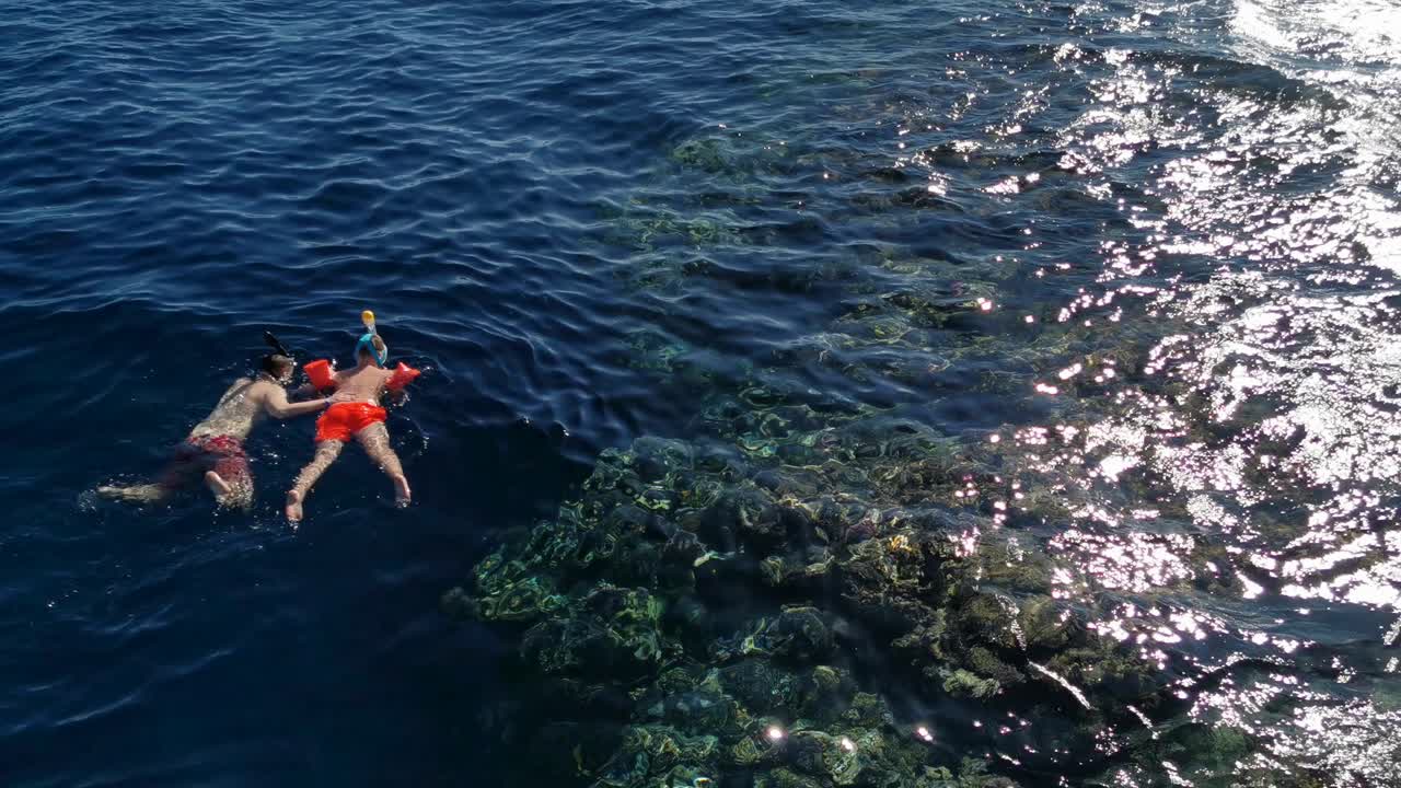 personas buceando en la superficie del mar rojo en corales