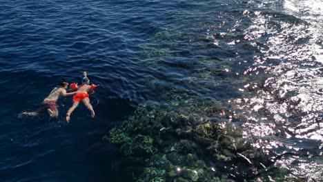 people snorkeling on the surface of the red sea in corals